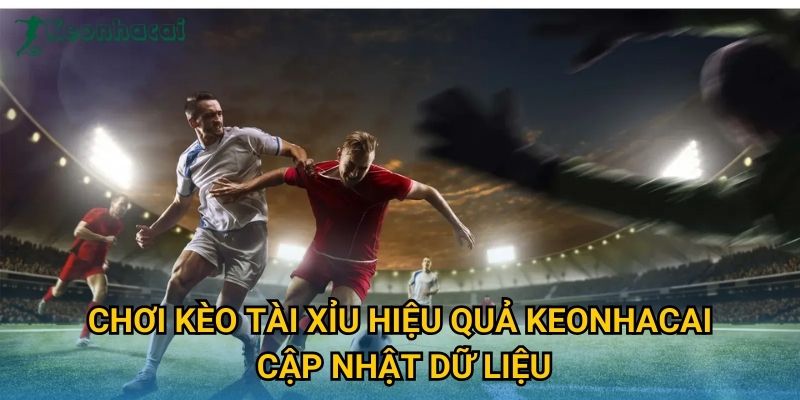 Chơi kèo tài xỉu hiệu quả Keonhacai cập nhật dữ liệu Chơi kèo tài xỉu hiệu quả Keonhacai cập nhật dữ liệu