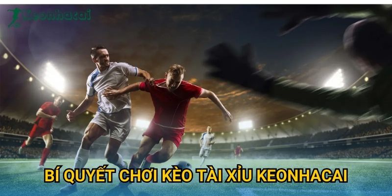 Bí quyết chơi kèo tài xỉu Keonhacai Bí quyết chơi kèo tài xỉu Keonhacai